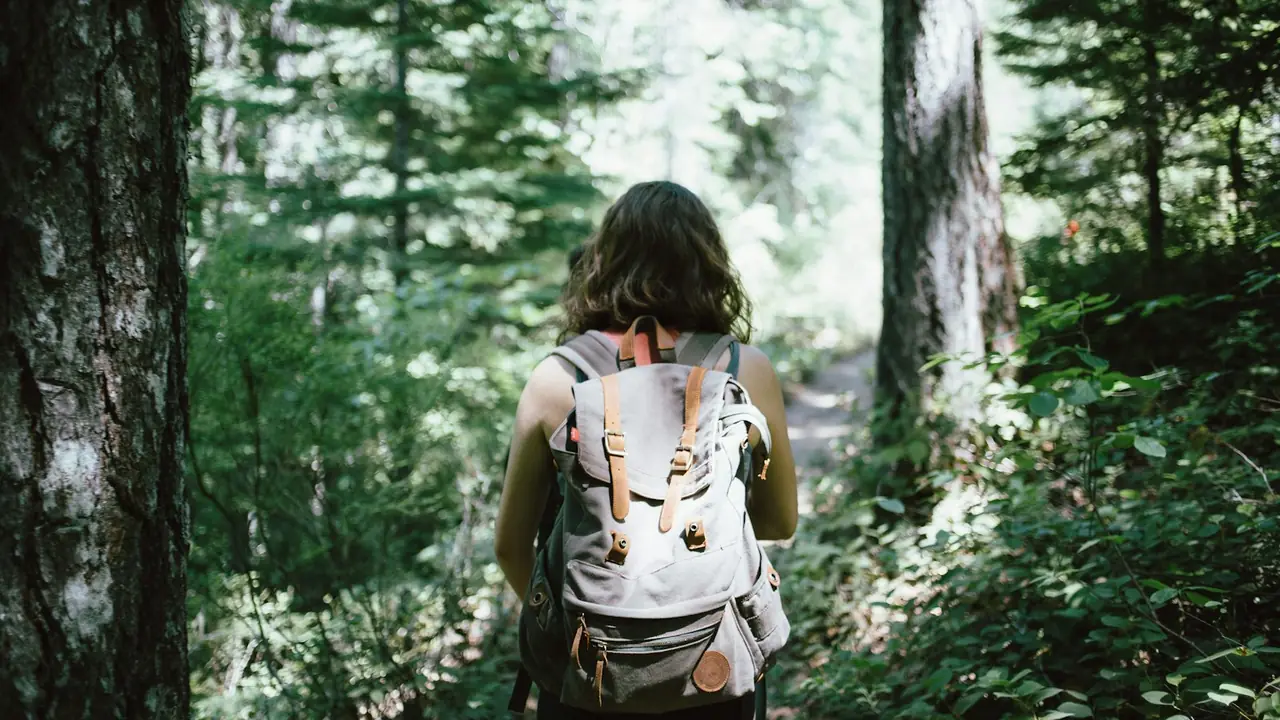 Vrouw met rugzak wandelt door het bos