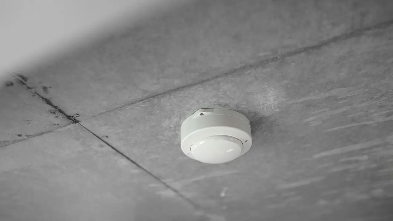 Rookmelder aan het plafond als beeld voor een gevoelig alarm