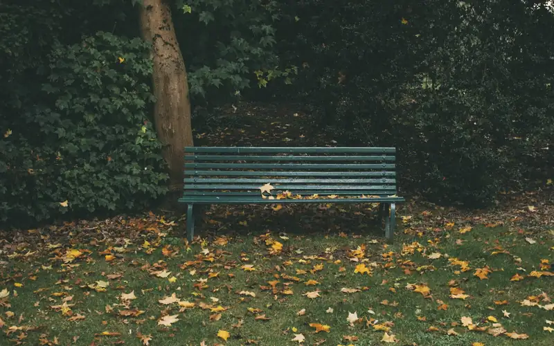 Bankje in het park tussen herfstbladeren