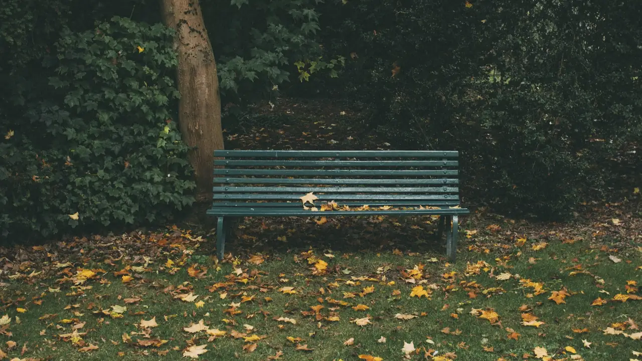 Bankje in het park tussen herfstbladeren