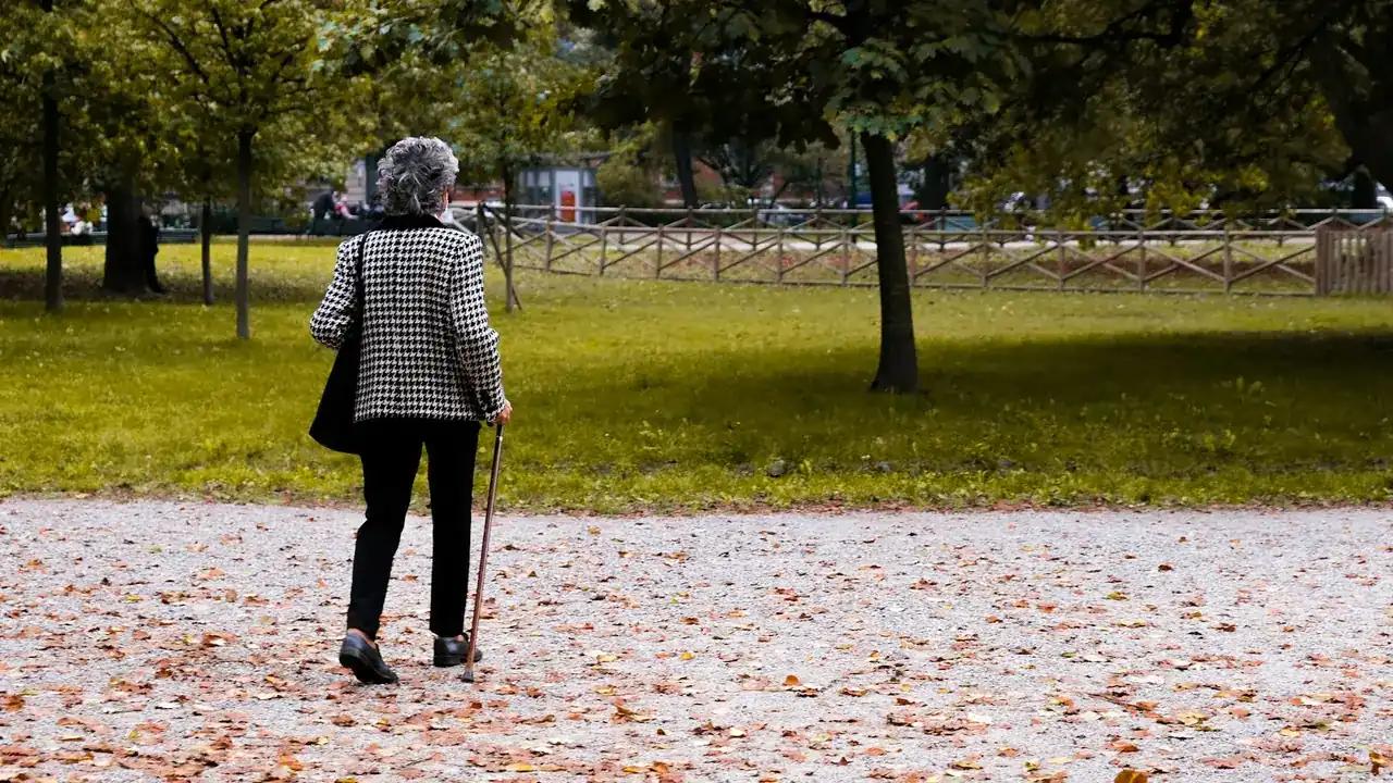 Vrouw maakt een rustige wandeling in het park