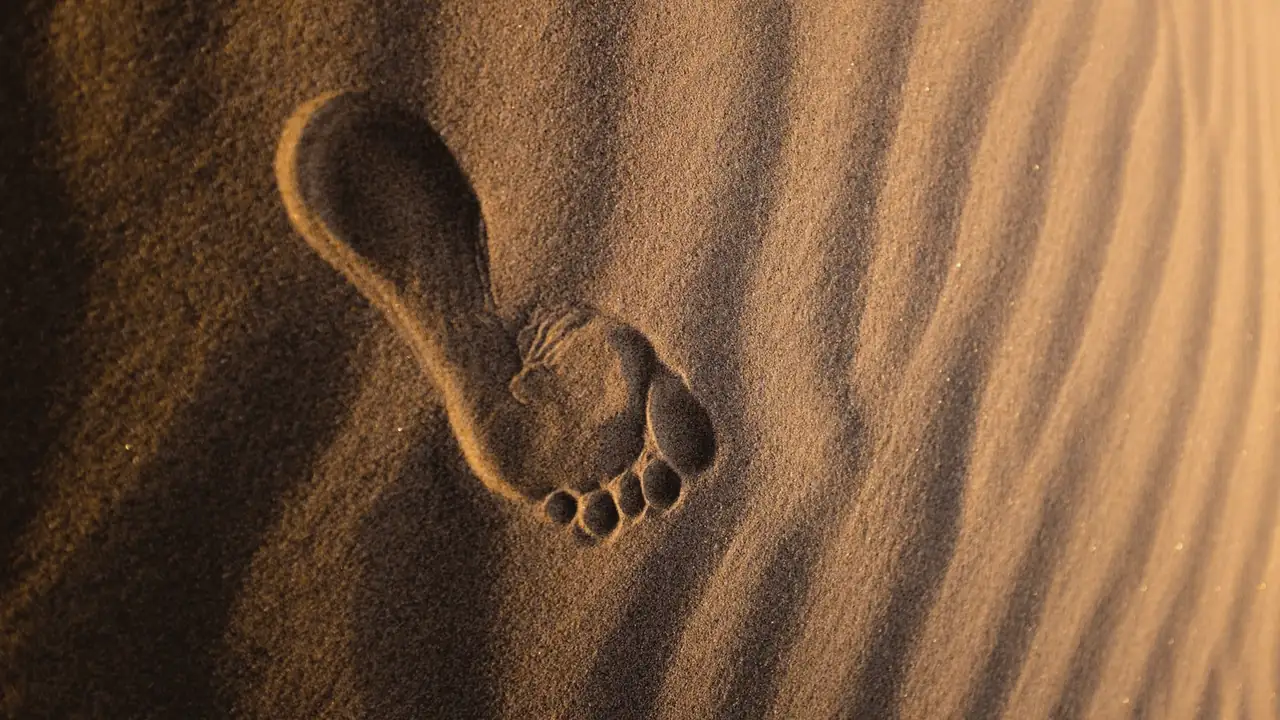 Voetafdruk in het zand