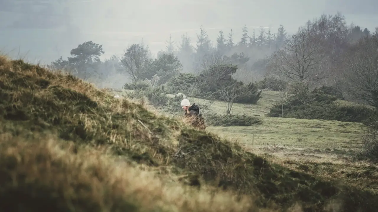 Heuvels in de mist