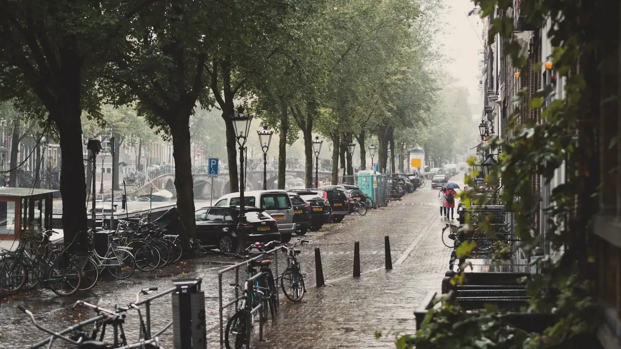 Regenachtige straat met bomen